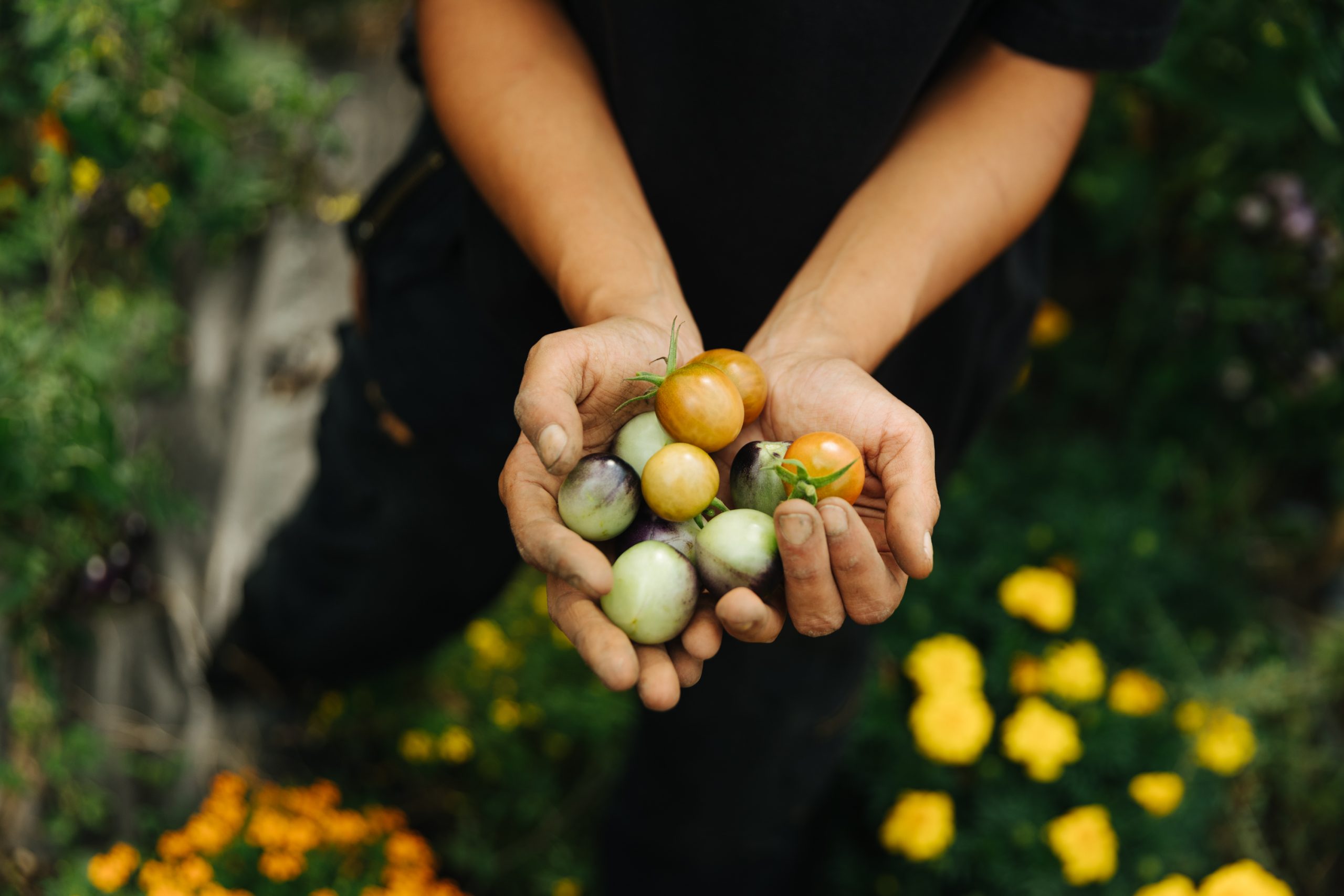 2021-09-14 BCI Farms-9236