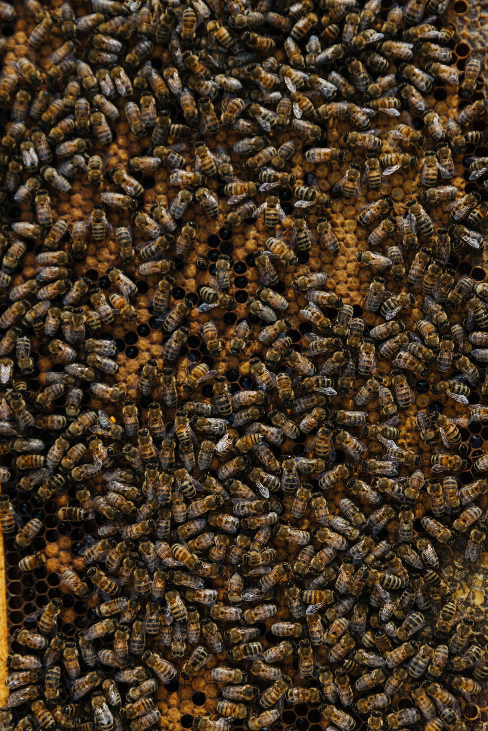 Nabil Shash Photography Paris Toronto Lifestyle Photographer