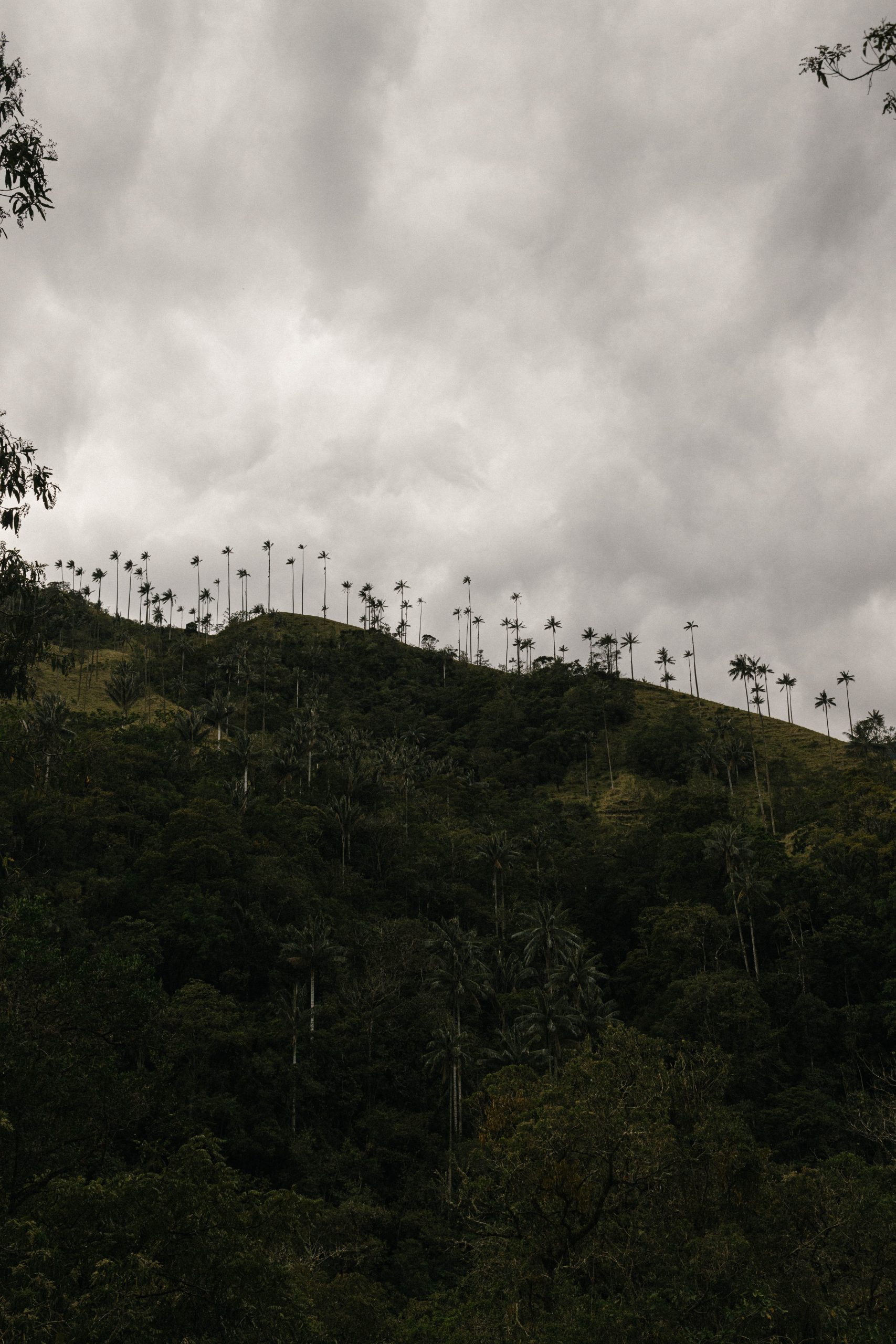 Instagram Columbia-0834