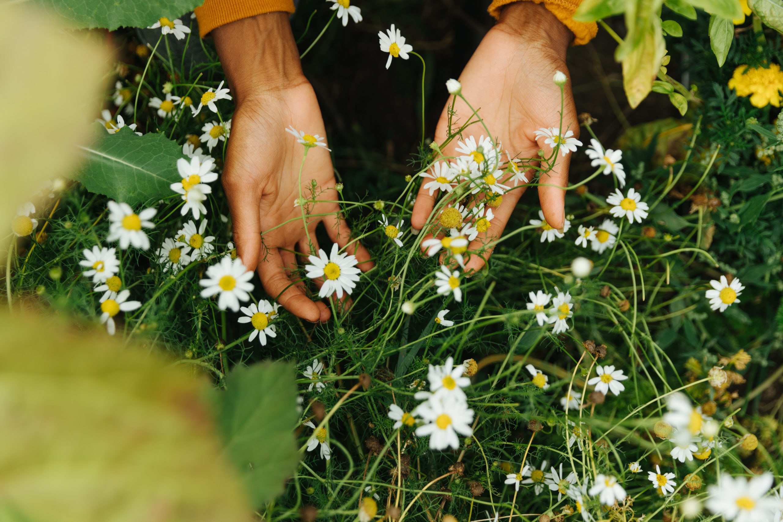 Nabil Shash Photography Paris Toronto Lifestyle Photographer