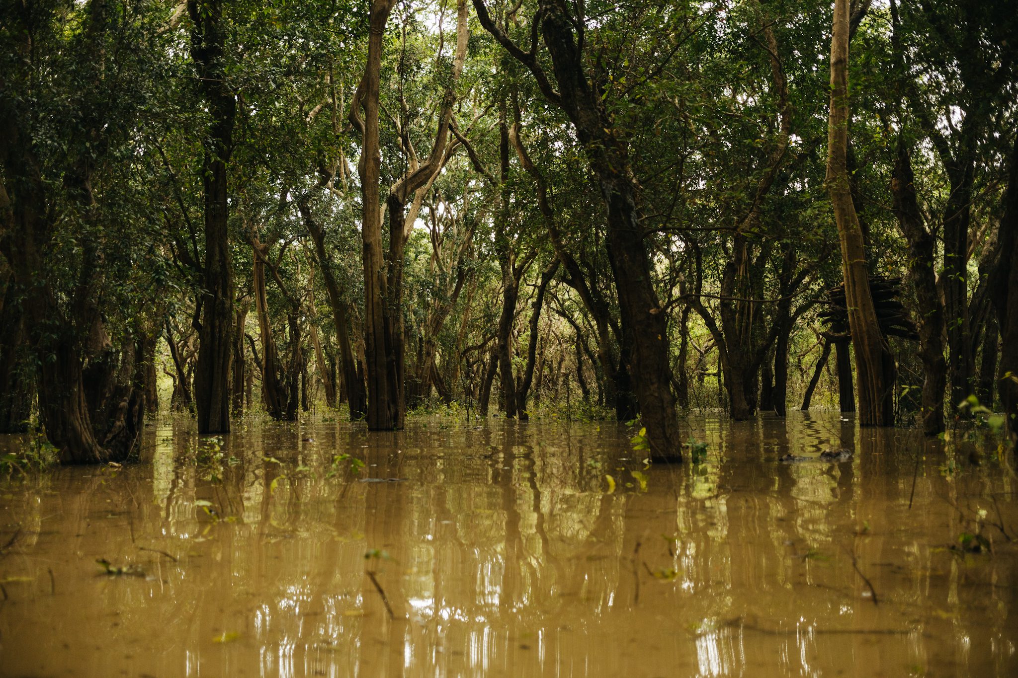 Siem Reap 2022 – 2179