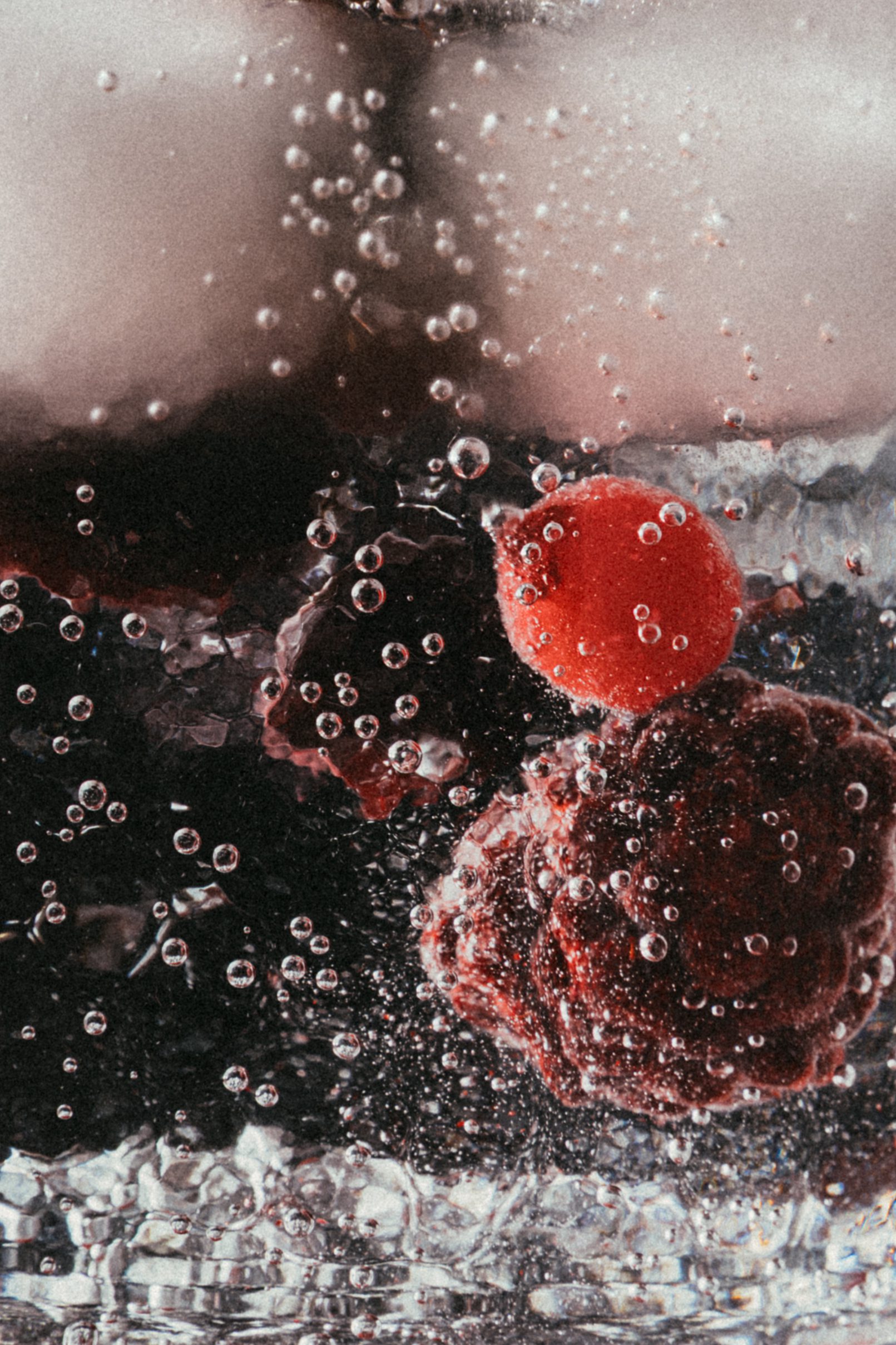 Nabil Shash – Berry Tonic