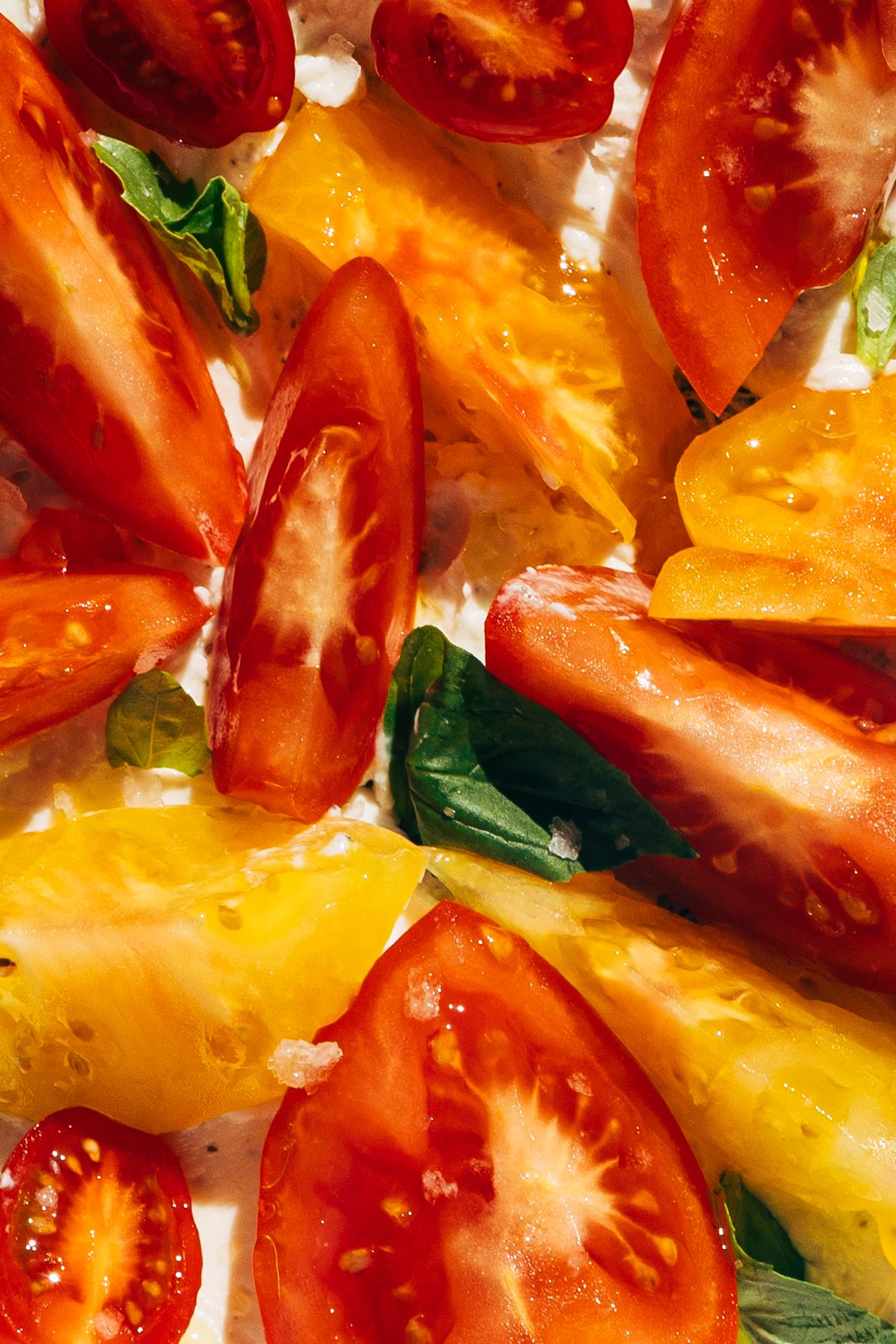 Tomato and Whipped Ricotta